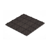 Lauko grindų danga, 29.8 x 29.8 x 1.2 cm, ruda