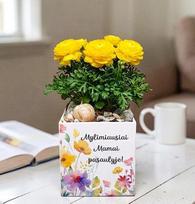 Vazonas su spauda „Mylimiausiai Mamai pasaulyje“