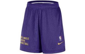 Nike Los Angeles Lakers Krepšinio Šortai Vyriški Visas Violetinis DX9700-504 S violetinė