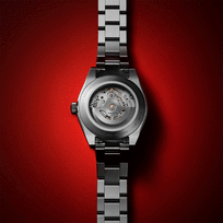 Vyriškas Laikrodis TISSOT Gentleman T165.807.11.031.00
