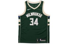 Nike Nba Milwaukee Bucks Giannis Antetokounmpo Icon Edition marškinėliai 864489-323 S žalia