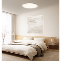 Lubų šviestuvas Xiaomi Smart Ceiling Light D40 WBHR9933GL 45W