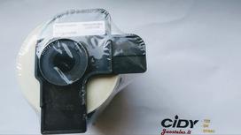 Su Brother suderinamos etiketės DK 22205 62 mm x 30.48 m