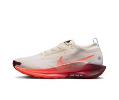 Nike Pegasus Trail 5 GORE-TEX Running shoes Men's FQ0908-104 EU 40 įvairiaspalvis