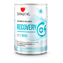 Disugual Maistas šlapias šunų maistas „RECOVERY Sola“ (suaugusiems šunims) 400 g