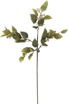Bloomingville Dirbtinė gėlė Bloomingville eukaliptas 92 cm