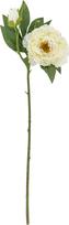 Bloomingville Dirbtinė gėlė Bloomingville bijūnas 62 cm, balta