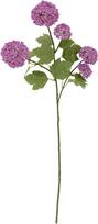 Bloomingville Dirbtinė gėlė Bloomingville hortenzija fuksijos spalvos 73 cm