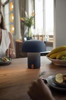 SOUND BY JBL Sensa Play kolonėlė/šviestuvas su JBL garso sistema, Anthracite