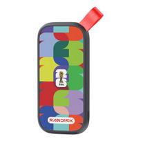 SanDisk - FIFA World Cup 2026 Edition - SSD - 1 TB - extern (tragbar) - USB 3.2 Gen 2 (USB-C Steckverbinder) (SDSSDE30F-1T00-G25)