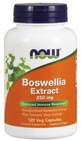 NOW Foods Boswellia Extract Plus Turmeric Root Extract, 250mg - 120 kapsulių