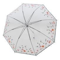 DOPPLER skėtis Transparent Floral 74054 - Spalvota, Ilgieji