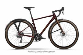 Dviratis Raymon Territ Pro Street 2026 maroonbrown-brick-L