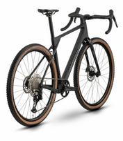 Dviratis Raymon Soreno Pure 2026 carbon stealth-L