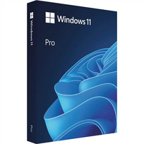 Programinė įranga Microsoft Windows 11 Pro N FWC-03370 ESD 64-bit visos kalbos 1 licencija