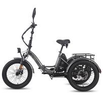 FAFREES F20 Mate Electric Cargo Tricycle 500W Motor, 48V 21Ah Battery, Hydraulic parking brakes, 30KM/H Speed, 80-90KM Range E-Bike 48V 21Ah juoda