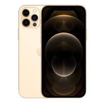 Apple iPhone 12 Pro Max - Naudotos būklės - 128GB - Gold