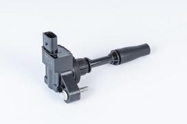 BorgWarner (BERU) Uždegimo ritė ZSE234