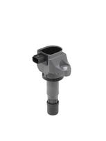 BorgWarner (BERU) Uždegimo ritė ZSE240