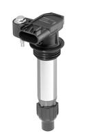 BorgWarner (BERU) Uždegimo ritė ZSE252