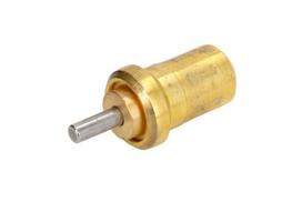 BOSCH Termostatas 1 467 202 302