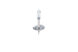 BOSCH Lemputė, prožektorius Trucklight WS 1 987 302 411