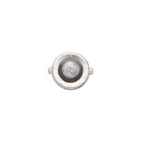 BOSCH Lemputė Trucklight 1 987 302 508