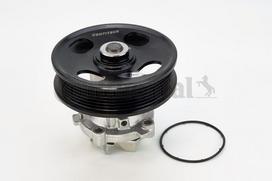 CONTINENTAL CTAM Vandens siurblys WPS3002