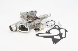 CONTINENTAL CTAM Vandens siurblys WPS3008
