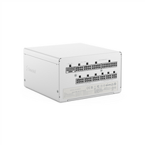 Maitinimo blokas Fractal Design Ion 3 Gold WFD-P-IA3G-101-EU-WT 1000W baltas
