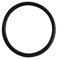 Guminė tarpinė Perla, Ø 32 mm 10 vnt.