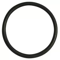 Guminė tarpinė Perla, Ø 20 mm 10 vnt.