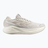 Vyriški bėgimo batai Salomon Aero Glide 4 silver/silver/white