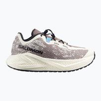 Moteriški bėgimo batai Salomon Aero Glide 4 GRVL vanilla ice/black iron