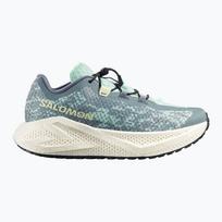 Moteriški bėgimo batai Salomon Aero Glide 4 GRVL stormy weather/lichen/vanilla ice