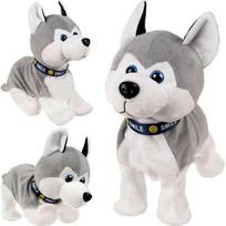 Interaktyvus šuniukas Husky