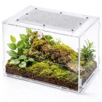 Terariumas vorams ir vabzdžiams Repti-Zoo PACR87, akrilinis, 20x15x15 cm