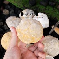 Neapdorotas marokietiškas agato kristalų geodos pavyzdys namų dekoravimui 2-3 cm each