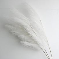 Didelė pampų žolė 100 cm aukščio Purus nendrių puokštė Dirbtinė pampų žolė Dirbtinės gėlės Boho Namų Vestuvių Dekoravimas Gėlių kompozicija 3pcs balta