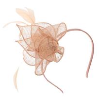 Moterims Plunksninis Fascinatoras Galvos Juosta Retro Galvos Juosta Šventinė Skrybėlaitė Plaukų Segtukas Kokteilių Vestuvių Šventė Nuotakos Skrybėlės Dekoracija Moteriški Galvos Apdangalai