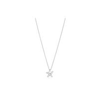 Tiffany & Co. Elsa Peretti® Jūrų žvaigždės pakabukas Sidabrinis karoliai Unisex karoliai 26195248 Silver,F