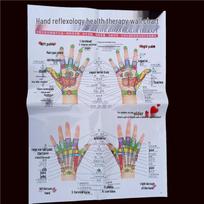 Comprehensive Acupoint Diagram: Human Body, Ear, Foot, Sole & Palm Charts for Massage Therapy and Tuina