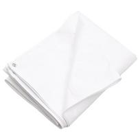 Baltas tentas vidaXL, 6x6m, 260g/m², Hdpe