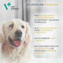 VETEXPERT Multivitamin - vitaminų ir mineralų preparatas šunims ir katėms - 30 kapsulių.