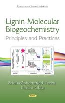 Lignin Molecular Biogeochemistry