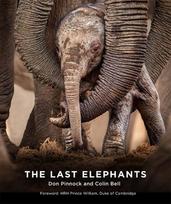 Last Elephants