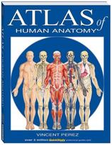Atlas Of Human Anatomy