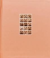 APRICOT POODLE