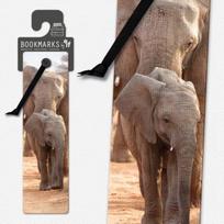 3D Bookmarks - African Elephant