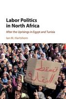 Labor Politics in North Africa - Minkštas viršelis
